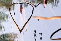 残荷　遐想